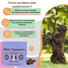 Suplemento Aller-Immune (Especial para alergias y pieles sensibles)