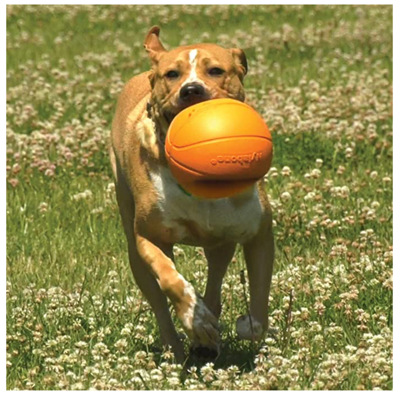 Pelota Basketball de fácil agarre para peludos grandes