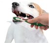 Kit dental para perros adultos sabor mantequilla de maní Advanced oral care