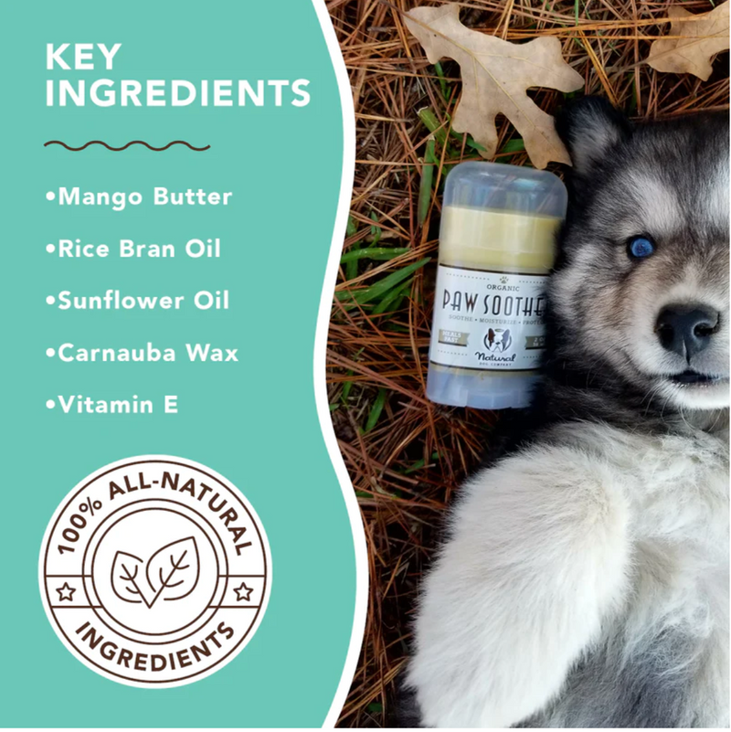 Lata Paw Soother 2 onzas Bálsamo curativo para huellitas
