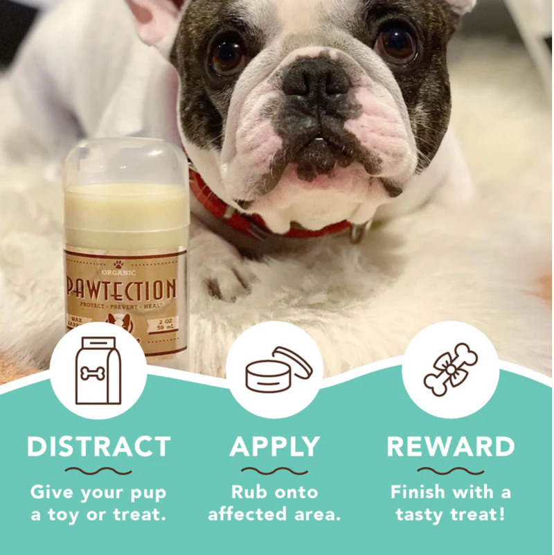 Lata Paw Tection 2 onzas Bálsamo protector de huellitas