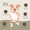 Barra Paw Tection 2 Onzas Bálsamo protector de huellitas (empaque biodegradable)