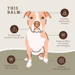 Barra Paw Tection 2 Onzas Bálsamo protector de huellitas (empaque biodegradable)