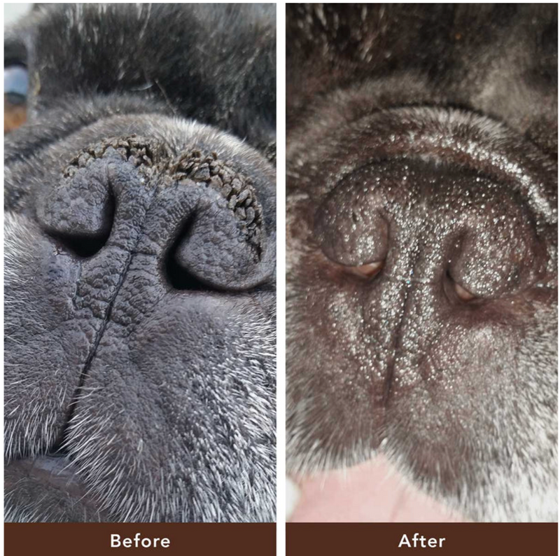 Barra Snout Soother 2 onzas hidratante para la nariz(empaque biodegradable)