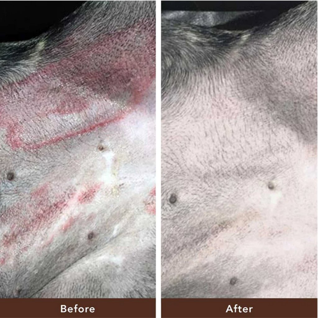 Barra Skin Soother 2 onzas bálsamo curativo (empaque biodegradable)