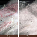Barra Skin Soother 2 onzas bálsamo curativo (empaque biodegradable)